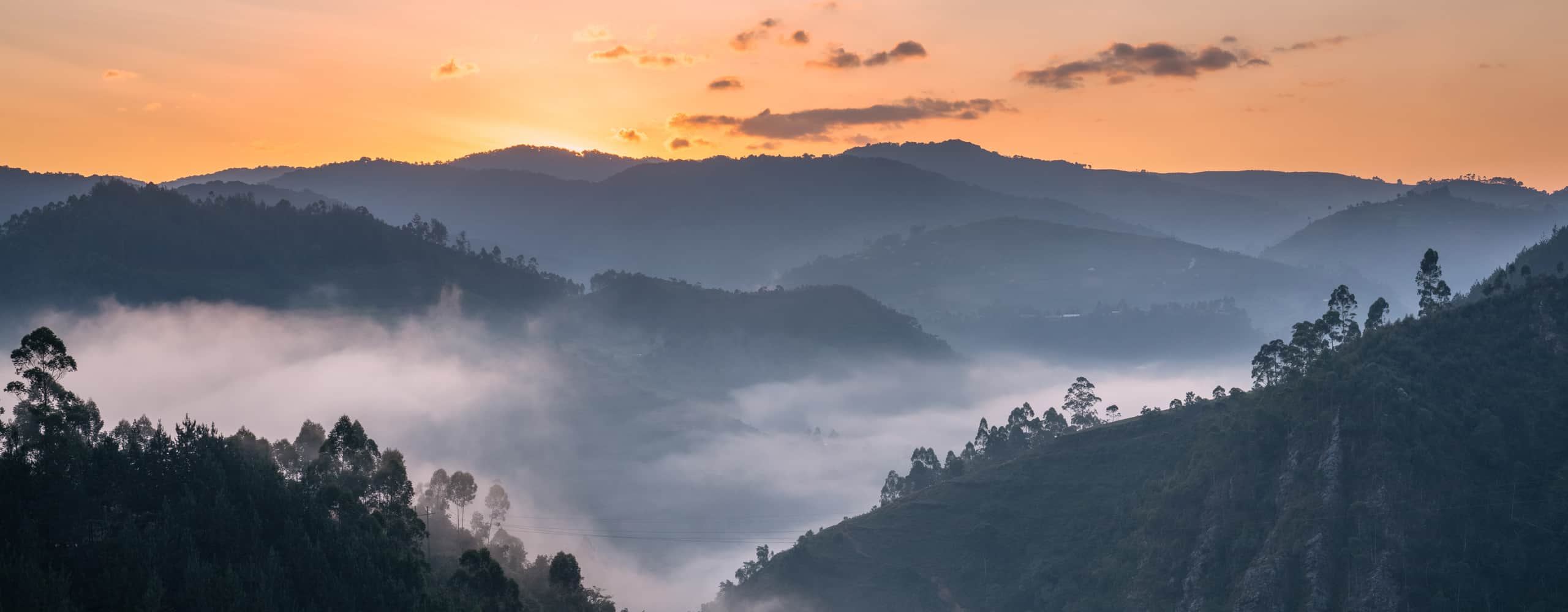 Bwindi National Park, Uganda